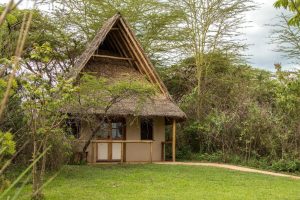 Ziwa Bush Lodge, Edge of Lake Nakuru National Park, Nakuru, photo 3