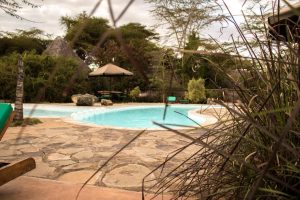 Ziwa Bush Lodge, Edge of Lake Nakuru National Park, Nakuru, photo 1