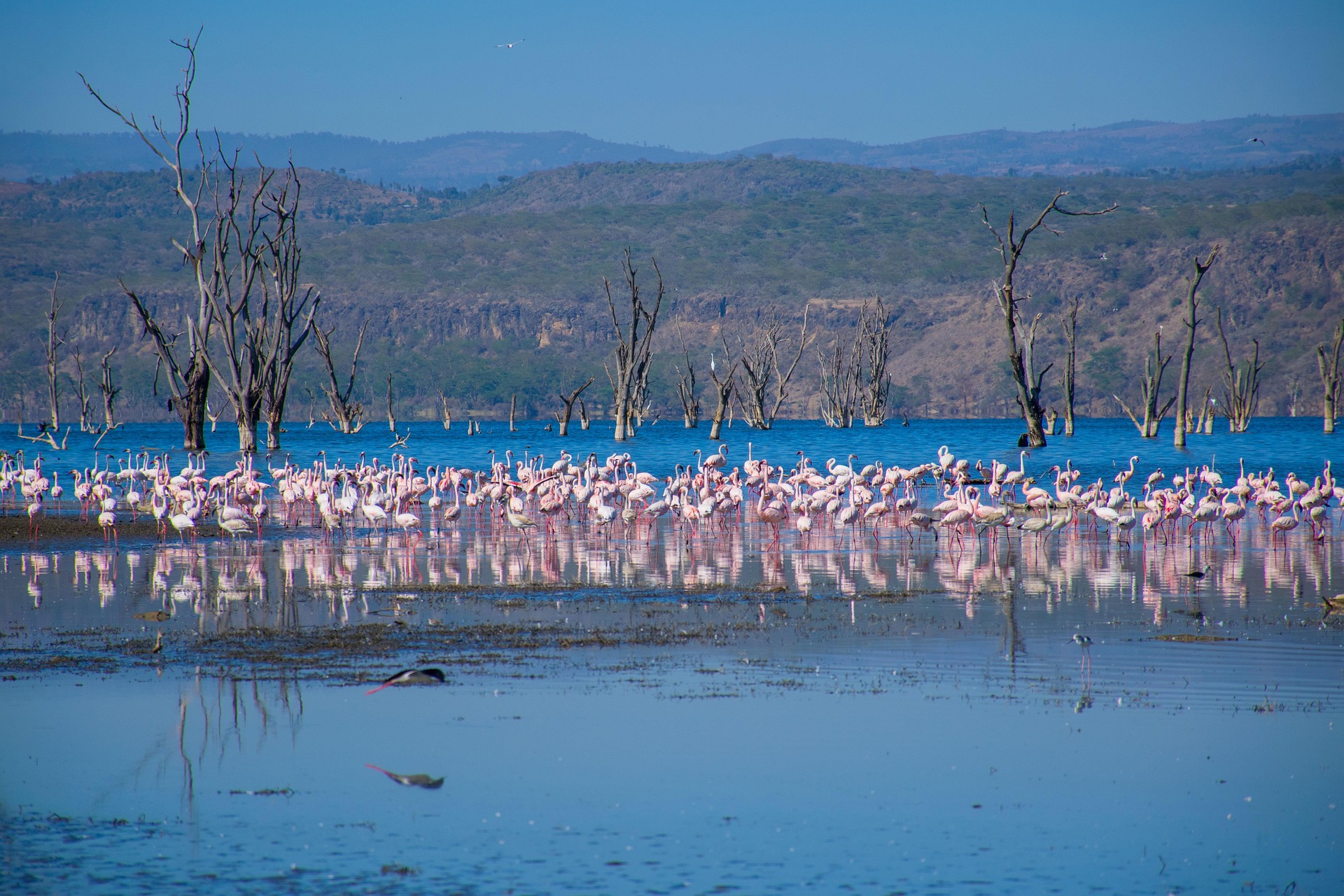 7-Day Rift Valley & Maasai Mara Safari