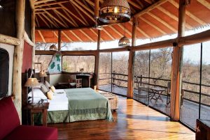 Tarangire Treetops, Community wildlife area bordering Tarangire National Park, photo 2