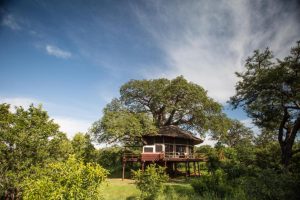 Tarangire Treetops, Community wildlife area bordering Tarangire National Park, photo 1