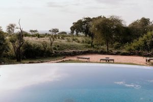 Tarangire Treetops, Community wildlife area bordering Tarangire National Park, photo 4