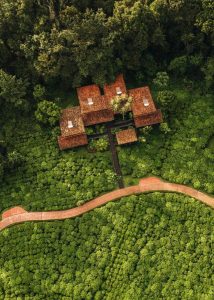 One & Only Nyungwe House, Gisakura tea estate, edge of Nyungwe Forest National Park, photo 1