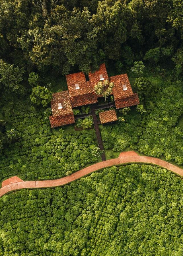One & Only Nyungwe House