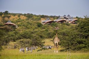Mahali Mzuri, Olare Motorogi Conservancy, bordering the Maasai Mara National Reserve, photo 1
