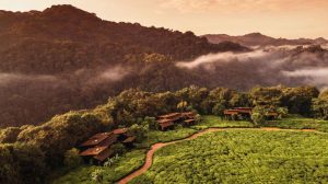 One & Only Nyungwe House, Gisakura tea estate, edge of Nyungwe Forest National Park, photo 2