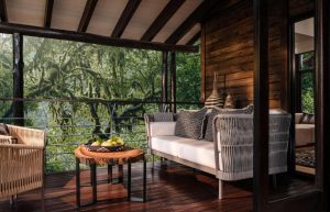 One & Only Nyungwe House, Gisakura tea estate, edge of Nyungwe Forest National Park, photo 4