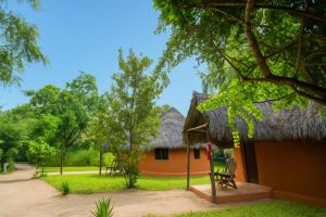 Siwandu (formerly Selous Safari Camp), Lake Nzerakera, central Nyerere National Park, photo 4
