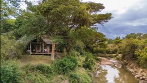 Basecamp Masai Mara, Talek River, Koiyaki Group Ranch, beside the Maasai Mara National Reserve, photo 2