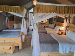 Hunter’s Luxury Manor, photo 4