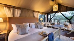 Dove Serengeti Camp, photo 4