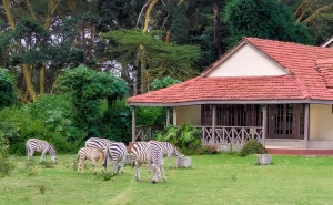 Muthu Lake Naivasha Country Club, South Lake Road, Lake Naivasha, photo 1