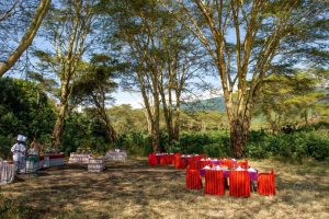 Ngorongoro Serena Safari Lodge, Ngorongoro Crater rim, photo 2