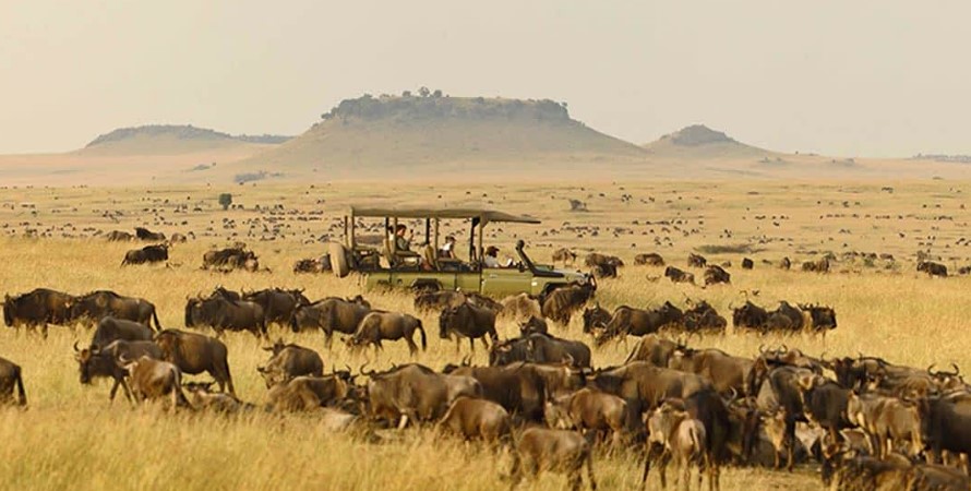 Northern Serengeti landscape