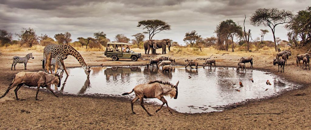 Game drive at a Serengeti waterhole