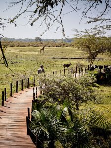Hatari Lodge, Arusha National Park, near Momella Lakes, photo 1