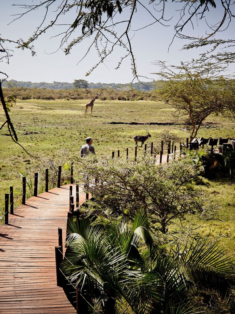 Hatari Lodge