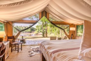 Il Moran Governors’ Camp, Mara River, Musiara area, Maasai Mara National Reserve, photo 2