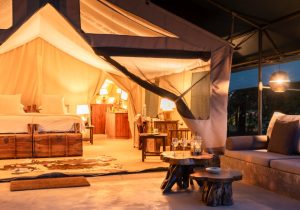 Il Moran Governors’ Camp, Mara River, Musiara area, Maasai Mara National Reserve, photo 3