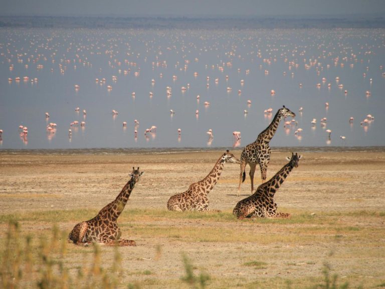 Lake Manyara