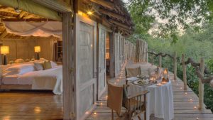 Lake Manyara Tree Lodge, Mahogany forest, remote southwest of Lake Manyara National Park, photo 2