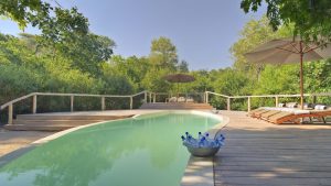 Lake Manyara Tree Lodge, Mahogany forest, remote southwest of Lake Manyara National Park, photo 4