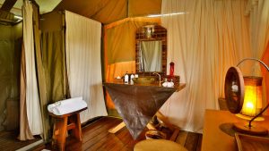 Lemala Luxury Camp, In the Serengeti, photo 3