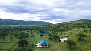 Mbuni Serengeti Camp, photo 2