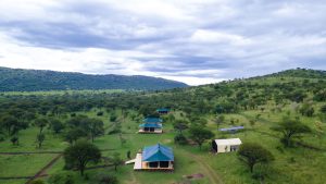 Mbuni Serengeti Camp, photo 3