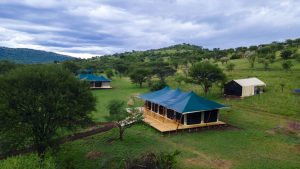 Mbuni Serengeti Camp, photo 4