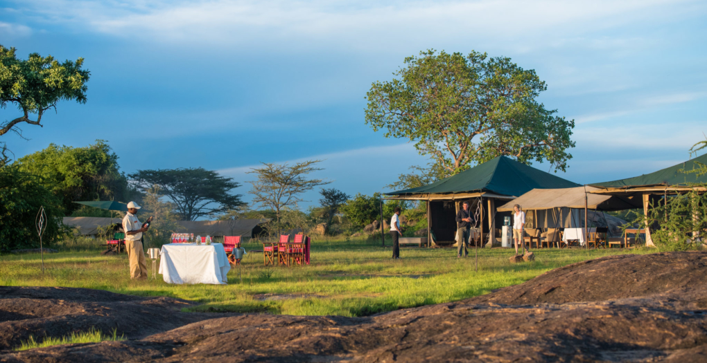 Migration Sanctuary Camp