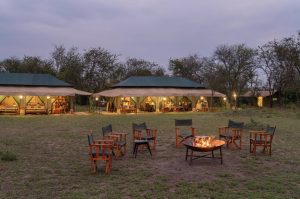 Nasikia Mobile Migration Camp, Serengeti, mobile: Kogatende and the southern Serengeti/Ngorongoro area, photo 1