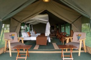 Nasikia Mobile Migration Camp, Serengeti, mobile: Kogatende and the southern Serengeti/Ngorongoro area, photo 2