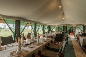 Nasikia Mobile Migration Camp, Serengeti, mobile: Kogatende and the southern Serengeti/Ngorongoro area, photo 3