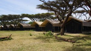Ngorongoro Kuhama Camp, Eastern side of Ngorongoro Crater, Ngorongoro Conservation Area, photo 2