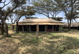 Ngorongoro Kuhama Camp, Eastern side of Ngorongoro Crater, Ngorongoro Conservation Area, photo 3