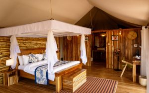 Nyota Serengeti Camp, photo 1