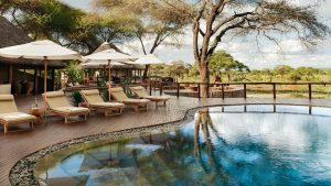 Swala Camp, Gurusi wetlands, southern Tarangire National Park, photo 2