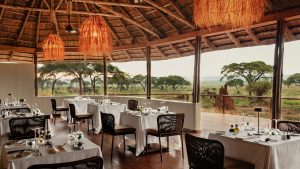 Swala Camp, Gurusi wetlands, southern Tarangire National Park, photo 4
