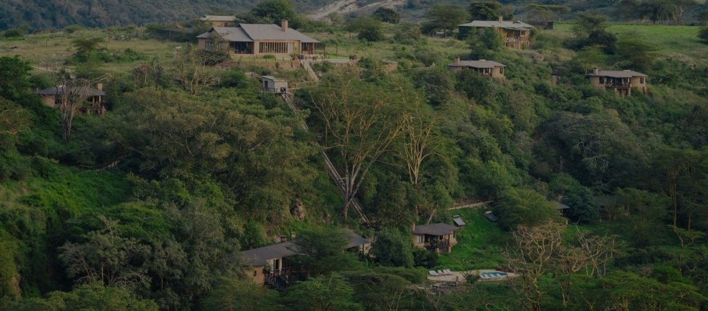 The Emakoko