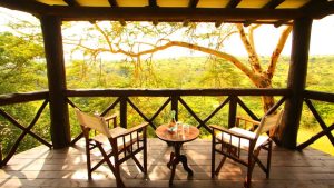 The Emakoko, Mbagathi River valley, edge of Nairobi National Park, photo 4