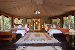 Tipilikwani Mara Camp, North bank of the Talek River, just outside the Maasai Mara National Reserve, photo 4