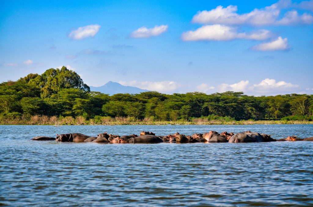 5-Day Luxury Kenya Safari
