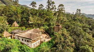 Bwindi Lodge, Buhoma, northern Bwindi Impenetrable National Park, photo 1