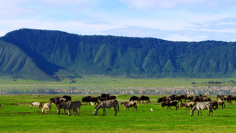 10-Day Kenya & Tanzania Safari