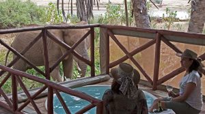 Elephant Bedroom Camp, Ewaso Nyiro River, Samburu National Reserve, photo 3