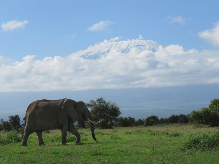 11-Day Spirit and Soul of Africa (Kenya/Tanzania), High End