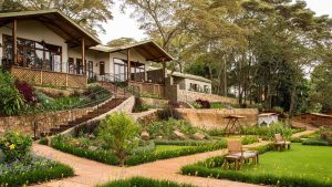 Gibb’s Farm, Karatu, Ngorongoro Highlands, photo 4