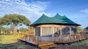 Enkirari Wilderness Camp, photo 2
