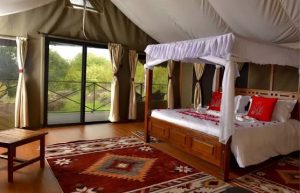 Enkorok Mara Camp, Maasai Mara, photo 4